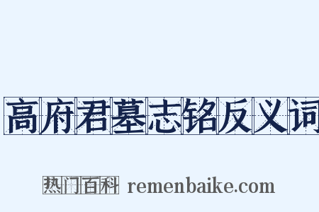高府君墓志铭反义词是什么意思的图片